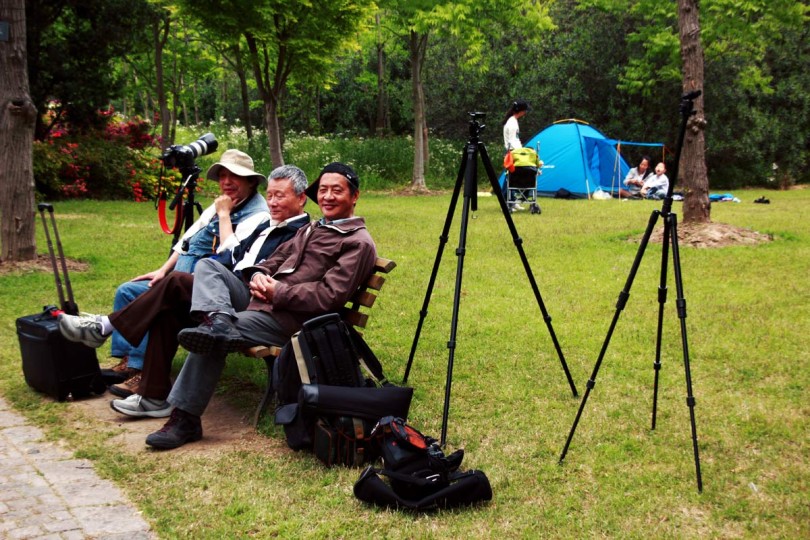 Фотографы в поисках добычи в Binjiang forest park