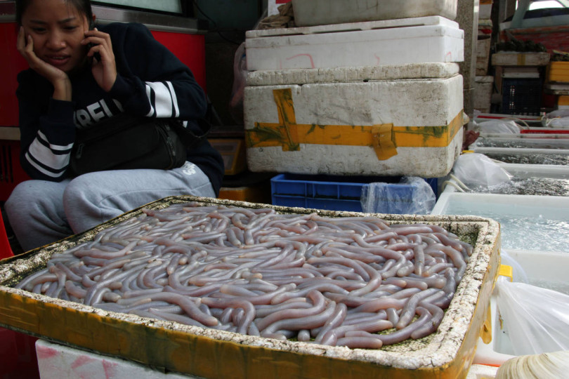 Targ rybny w Chinach glisty