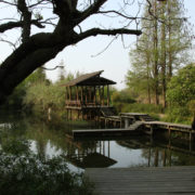Park Xixi w Hangzhou