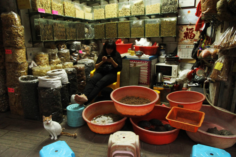 На рынке лекарств в Гуанчжоу