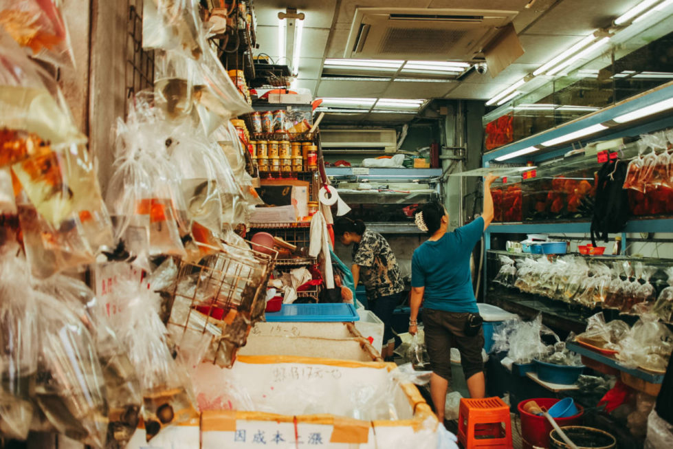 Рынок рыб в Гонконге