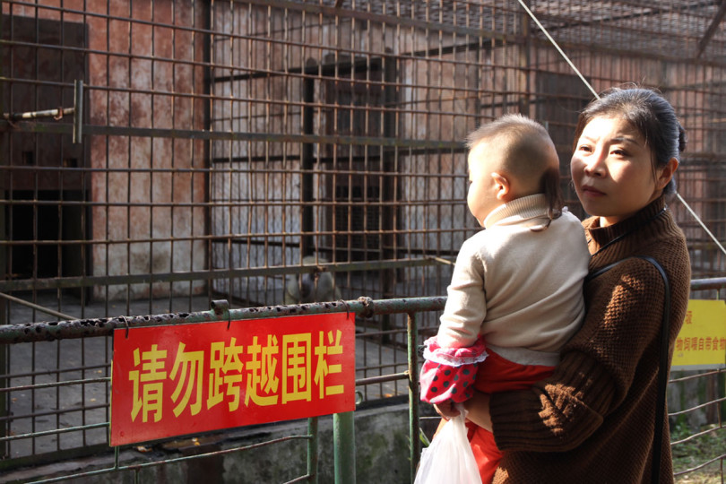 Zoo w Chinach