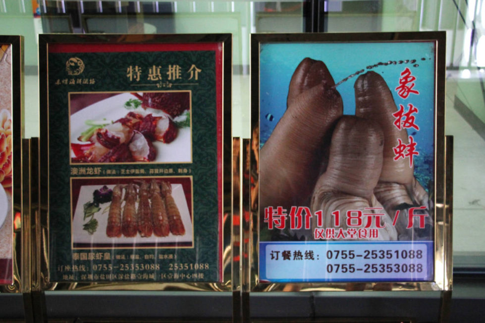 Życie w Chinach - jedzenie